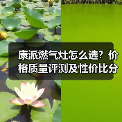 康派燃气灶怎么选？价格质量评测及性价比分析（图3）
