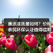 康派漆质量如何?价格亲民环保认证值得信赖(图4) 康派漆质量如何?价格亲民环保认证值得信赖(图4)