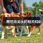 拖把池龙头的相关知识(图3) 拖把池龙头的相关知识(图3)