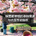 模塑聚苯板的卓越保温与抗压性能解析（图2）