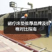 磁疗床垫推荐品牌及价格对比指南(图3) 磁疗床垫推荐品牌及价格对比指南(图3)