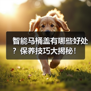 智能马桶盖有哪些好处？保养技巧大揭秘！（图1）