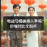 电动马桶值得入手吗?价格对比全解析(图1) 电动马桶值得入手吗?价格对比全解析(图1)