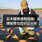 实木楼梯选购指南：品牌推荐与性价比分析（图2）