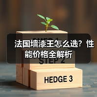 法国墙漆王怎么选？性能价格全解析（图2）