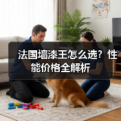 法国墙漆王怎么选？性能价格全解析（图4）