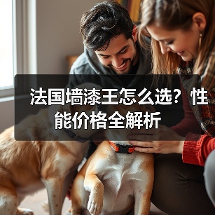 法国墙漆王怎么选？性能价格全解析（图3）