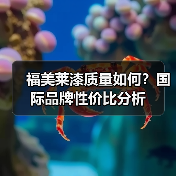 福美莱漆质量如何？国际品牌性价比分析（图1）