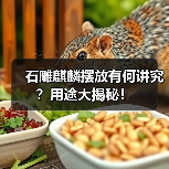 石雕麒麟摆放有何讲究？用途大揭秘！（图3）