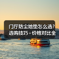 门厅防尘地垫怎么选？选购技巧+价格对比全解析（图1）