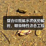 复合硅酸盐水泥优势解析，哪些特性适合工程项目？（图3）