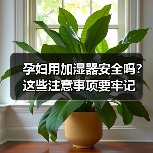 孕妇用加湿器安全吗?这些注意事项要牢记(图4) 孕妇用加湿器安全吗?这些注意事项要牢记(图4)