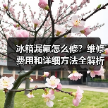 冰箱漏氟怎么修?维修费用和详细方法全解析(图1) 冰箱漏氟怎么修?维修费用和详细方法全解析(图1)