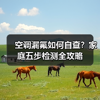 空调漏氟如何自查?家庭五步检测全攻略(图3) 空调漏氟如何自查?家庭五步检测全攻略(图3)