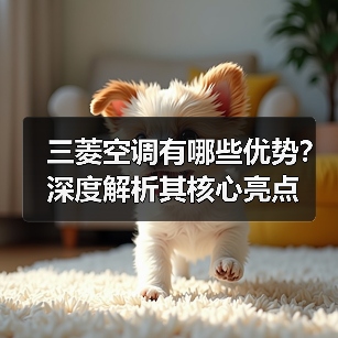 三菱空调有哪些优势?深度解析其核心亮点(图4) 三菱空调有哪些优势?深度解析其核心亮点(图4)