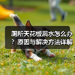 厕所天花板漏水怎么办?原因与解决方法详解(图3) 厕所天花板漏水怎么办?原因与解决方法详解(图3)