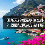 厕所天花板漏水怎么办?原因与解决方法详解(图4) 厕所天花板漏水怎么办?原因与解决方法详解(图4)