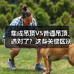 集成吊顶VS普通吊顶,选对了?这些关键区别你了解吗?(图4) 集成吊顶VS普通吊顶,选对了?这些关键区别你了解吗?(图4)