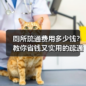 厕所疏通费用多少钱?教你省钱又实用的疏通方法(图3) 厕所疏通费用多少钱?教你省钱又实用的疏通方法(图3)
