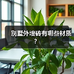 别墅外墙砖有哪些材质?(图1) 别墅外墙砖有哪些材质?(图1)