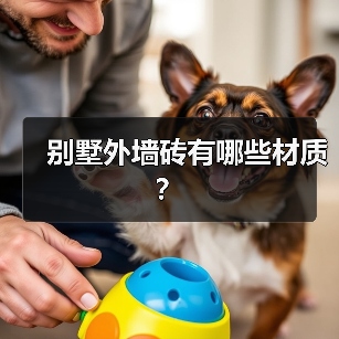 别墅外墙砖有哪些材质?(图3) 别墅外墙砖有哪些材质?(图3)