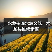 水龙头滴水怎么修,水龙头维修步骤(图3) 水龙头滴水怎么修,水龙头维修步骤(图3)
