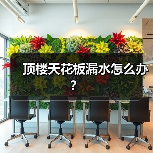 顶楼天花板漏水怎么办？（图3）