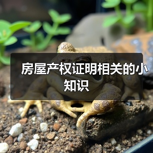 房屋产权证明相关的小知识（图2）