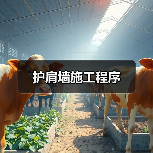 护肩墙施工程序（图2）