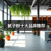 腻子粉十大品牌推荐（图4）