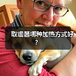 取暖器哪种加热方式好?(图3) 取暖器哪种加热方式好?(图3)