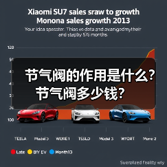 节气阀的作用是什么?节气阀多少钱?(图2) 节气阀的作用是什么?节气阀多少钱?(图2)
