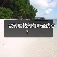 瓷砖胶粘剂有哪些优点？（图4）