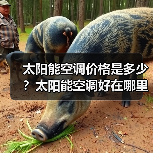 太阳能空调价格是多少?太阳能空调好在哪里?(图4) 太阳能空调价格是多少?太阳能空调好在哪里?(图4)