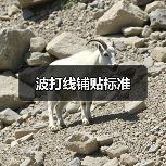 波打线铺贴标准(图1) 波打线铺贴标准(图1)