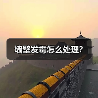 墙壁发霉怎么处理?(图1) 墙壁发霉怎么处理?(图1)