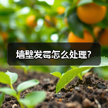墙壁发霉怎么处理?(图3) 墙壁发霉怎么处理?(图3)