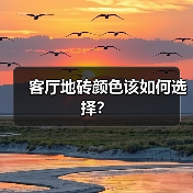 客厅地砖颜色该如何选择?(图1) 客厅地砖颜色该如何选择?(图1)