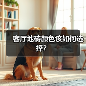 客厅地砖颜色该如何选择?(图2) 客厅地砖颜色该如何选择?(图2)