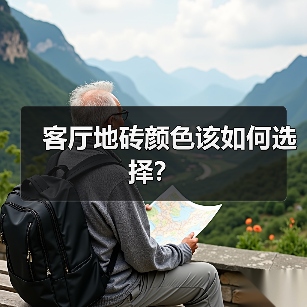 客厅地砖颜色该如何选择?(图4) 客厅地砖颜色该如何选择?(图4)