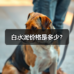 白水泥价格是多少?(图2) 白水泥价格是多少?(图2)