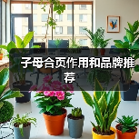 子母合页作用和品牌推荐(图3) 子母合页作用和品牌推荐(图3)