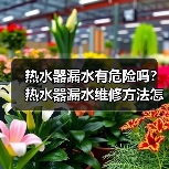 热水器漏水有危险吗?热水器漏水维修方法怎么样?(图3) 热水器漏水有危险吗?热水器漏水维修方法怎么样?(图3)
