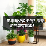 电采暖炉多少钱？采暖炉品牌有哪些？（图3）