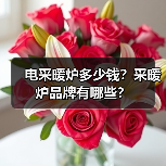 电采暖炉多少钱？采暖炉品牌有哪些？（图4）