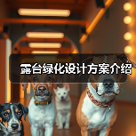 露台绿化设计方案介绍(图4) 露台绿化设计方案介绍(图4)