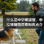 什么是中空玻璃窗，中空玻璃窗原理和优点介绍（图1）