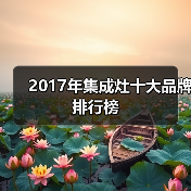 2017年集成灶十大品牌排行榜(图2) 2017年集成灶十大品牌排行榜(图2)
