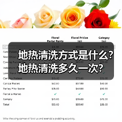 地热清洗方式是什么?地热清洗多久一次?(图3) 地热清洗方式是什么?地热清洗多久一次?(图3)