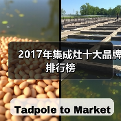 2017年集成灶十大品牌排行榜(图3) 2017年集成灶十大品牌排行榜(图3)